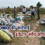 बोकारो में डीएमओ की छापेमारी, 17 टन अवैध कोयला जब्त