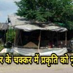 चास ITI मोड़ पर रोजगार के लिए युवक ने काट दी पेड़ की डाली, वन विभाग तक पहुँची शिकायत