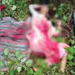 गढ़वा में प्रेम प्रसंग का दुखद अंत: युवक-युवती का शव बरामद